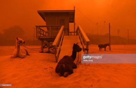 gettyimages-1059708472-1024x1024